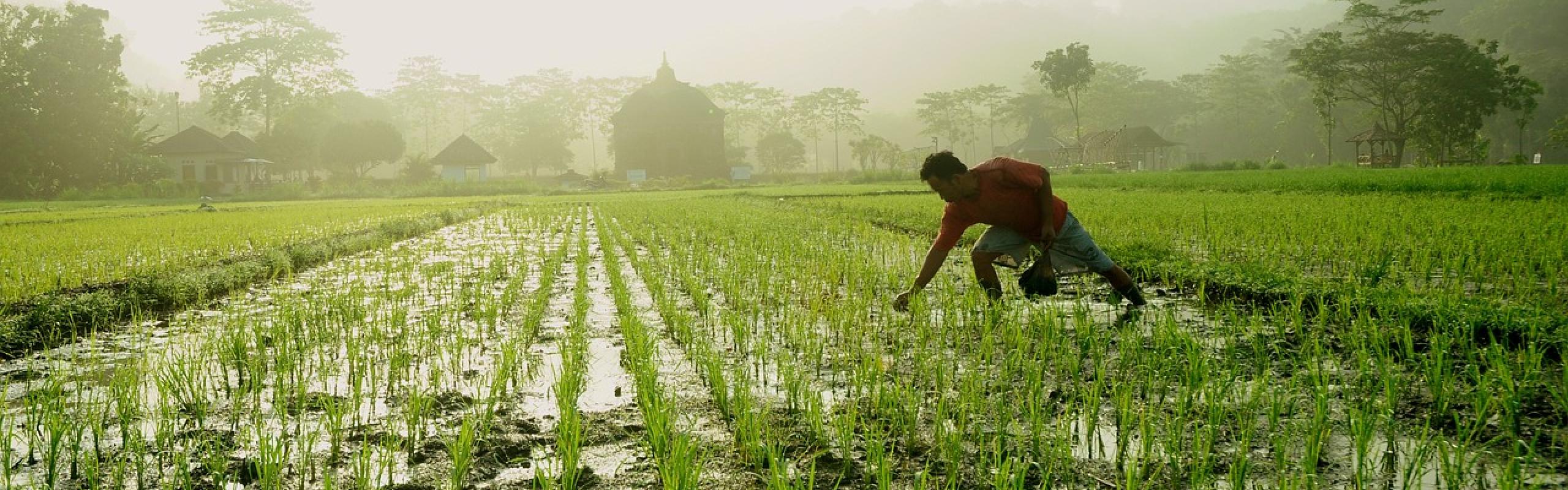 farming