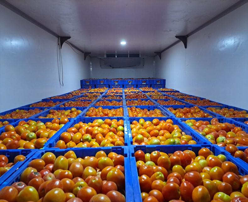 Cold storage for fruits and vegetables