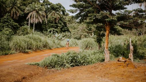 smallholder farmer walking 